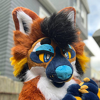 Fursuit headshot photo