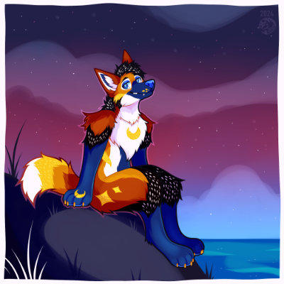 Solstice sitting on a beach under a starry sky